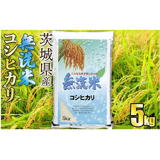【無洗米】令和7年産茨城コシヒカリ 5kg