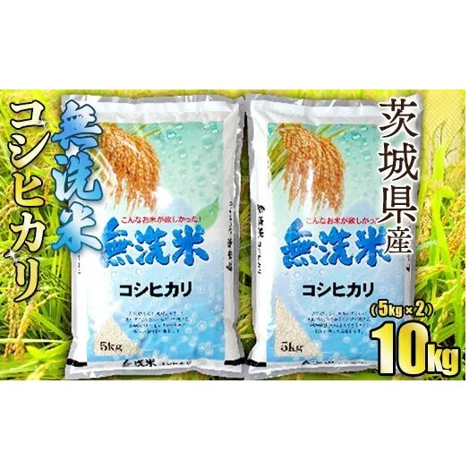 【無洗米】令和7年産茨城コシヒカリ 10kg　5kg×2