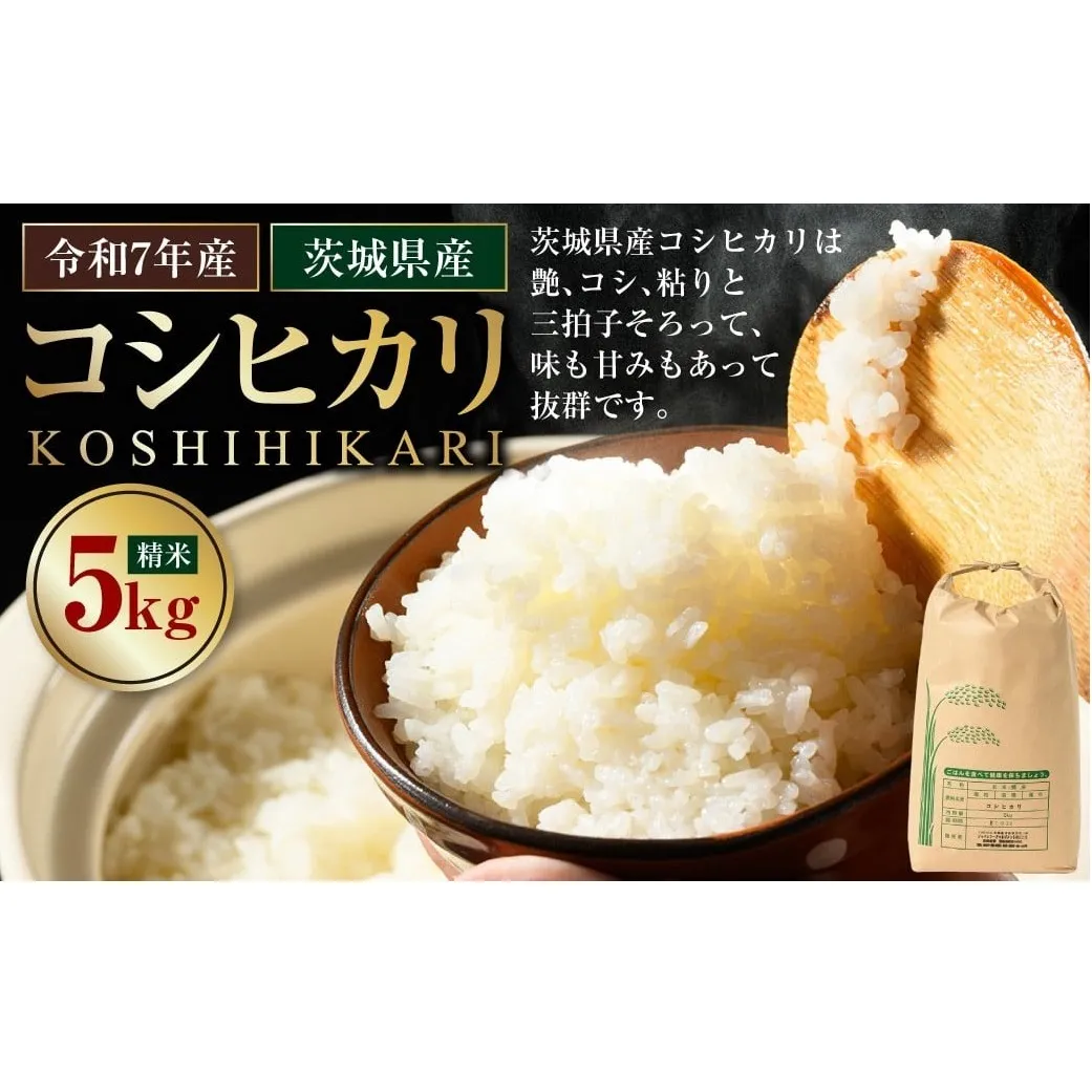 【令和7年産】茨城県産コシヒカリ 5kg 米 お米 おこめ コメ 白米 精米 ご飯 ごはん コシヒカリ こしひかり 茨城県 守谷市