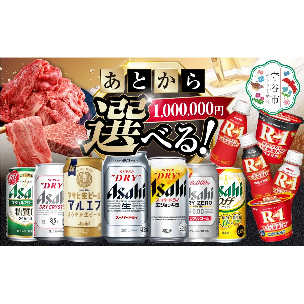 あとからセレクト 寄附1,000,000円相当【ふるさとギフト】 ギフト券 クーポン 茨城県 守谷市 あとから 選べる