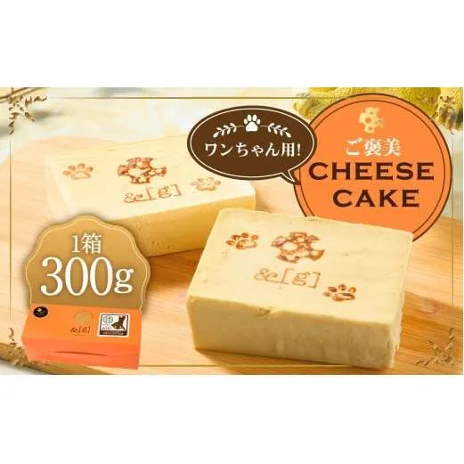 ワンちゃん用！ご褒美 cheese cake | ペット デザート スイーツ お菓子 洋菓子 菓子 冷凍 犬 ドッグ dog チーズケーキ チーズ ケーキ