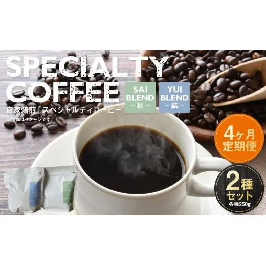 【定期便4ヶ月】自家焙煎スペシャルティコーヒー豆 250g×2種 | コーヒー豆 自家焙煎スペシャルティコーヒー ギフト 詰め合わせ