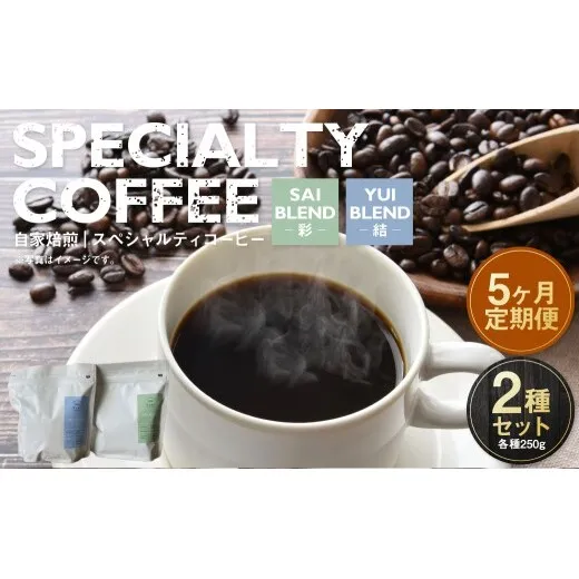 【定期便5ヶ月】自家焙煎スペシャルティコーヒー豆 250g×2種 | コーヒー豆 自家焙煎スペシャルティコーヒー ギフト 詰め合わせ