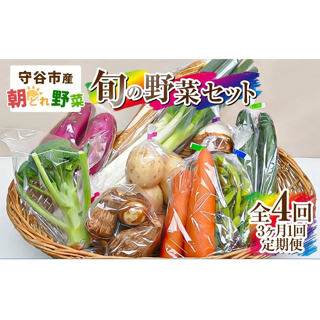 【定期便 4回】【3ヶ月に1回お届け】守谷市産 旬の野菜セット | 野菜 やさい 野菜セット 旬 国産 茨城県産 セット 詰め合わせ 定期 定期配送 冷蔵