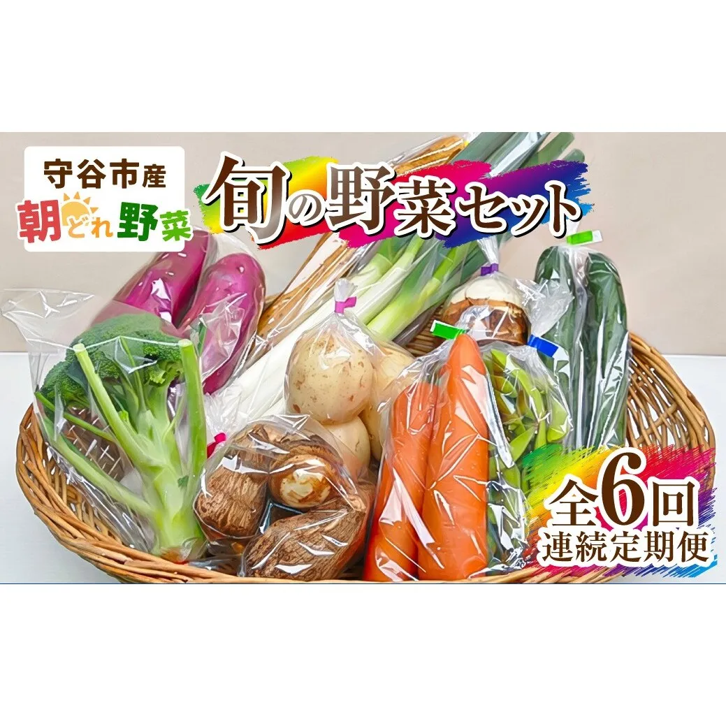 【定期便 6回】【毎月お届け】守谷市産 旬の野菜セット | 野菜 やさい 野菜セット 旬 国産 茨城県産 セット 詰め合わせ 定期 定期配送 冷蔵