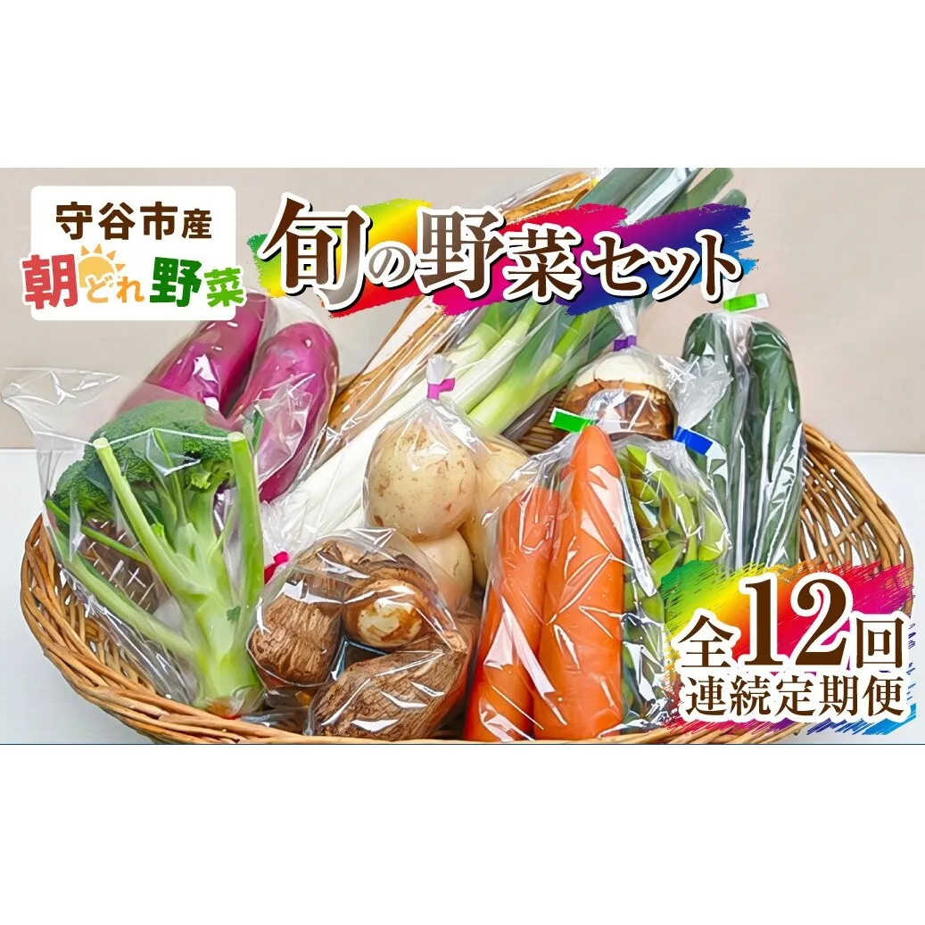 【定期便 12回】【毎月お届け】守谷市産 旬の野菜セット | 野菜 やさい 野菜セット 旬 国産 茨城県産 セット 詰め合わせ 定期 定期配送 冷蔵