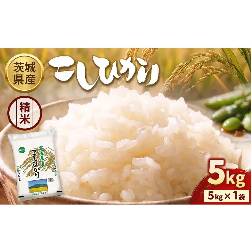 【令和7年産】茨城コシヒカリ 5kg×1袋【精米】 | お米 米 こしひかり 茨城県産 白米 ブランド米 小分け