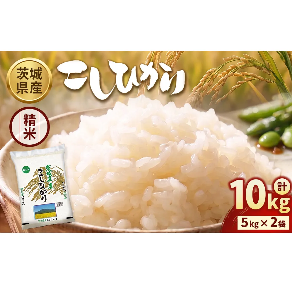 【令和7年産】茨城コシヒカリ 10kg（5kg×2袋）【精米】 | お米 米 こしひかり 茨城県産 白米 ブランド米 小分け