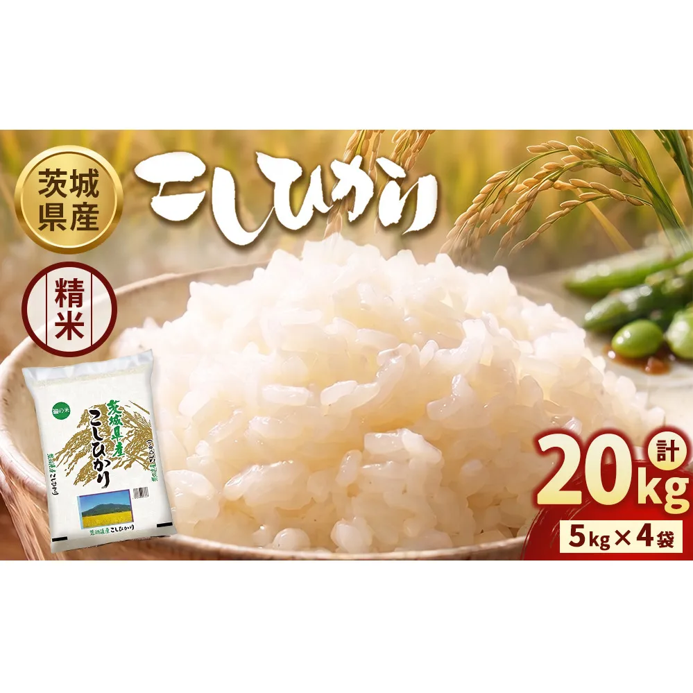 【令和7年産】茨城コシヒカリ 20kg（5kg×4袋）【精米】 | お米 米 こしひかり 茨城県産 白米 ブランド米 小分け