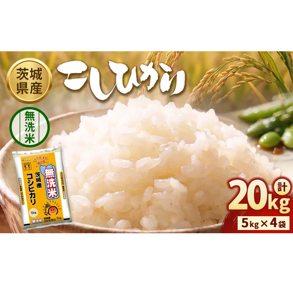 【令和8年産】茨城コシヒカリ【無洗米】 20kg（5kg×4袋） | お米 米 無洗米 こしひかり 茨城県産 白米 ブランド米 小分け