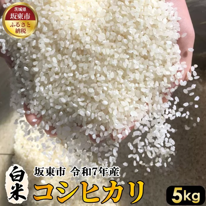 白米　コシヒカリ5kg【令和7年産】 No.391