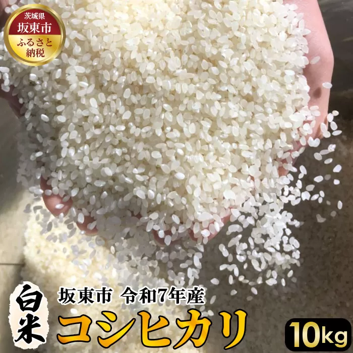 白米　コシヒカリ10kg【令和7年産】 No.404