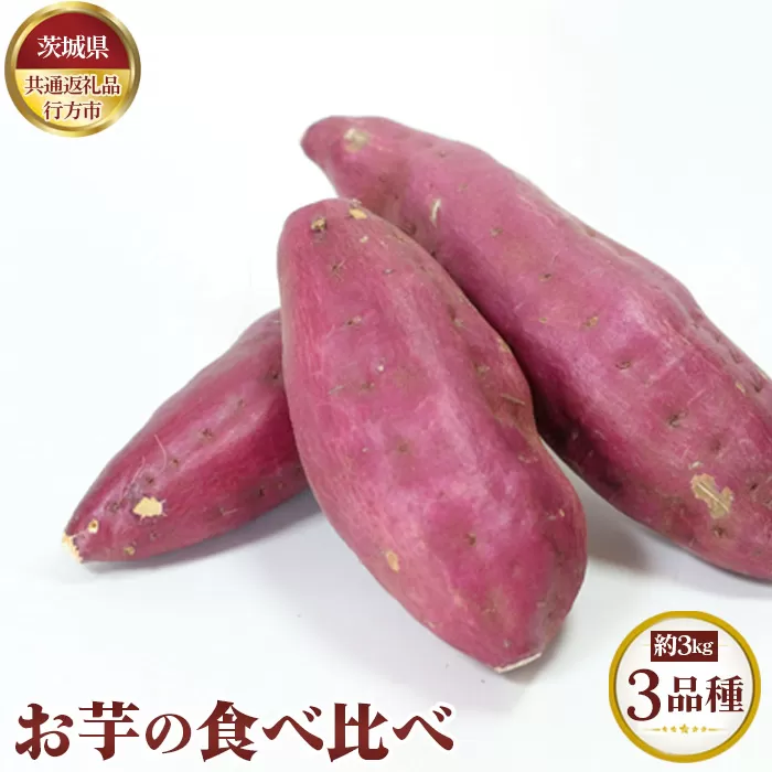No.627 【先行予約】お芋の食べ比べ　約3kg（3品種）【茨城県共通返礼品 行方市】
