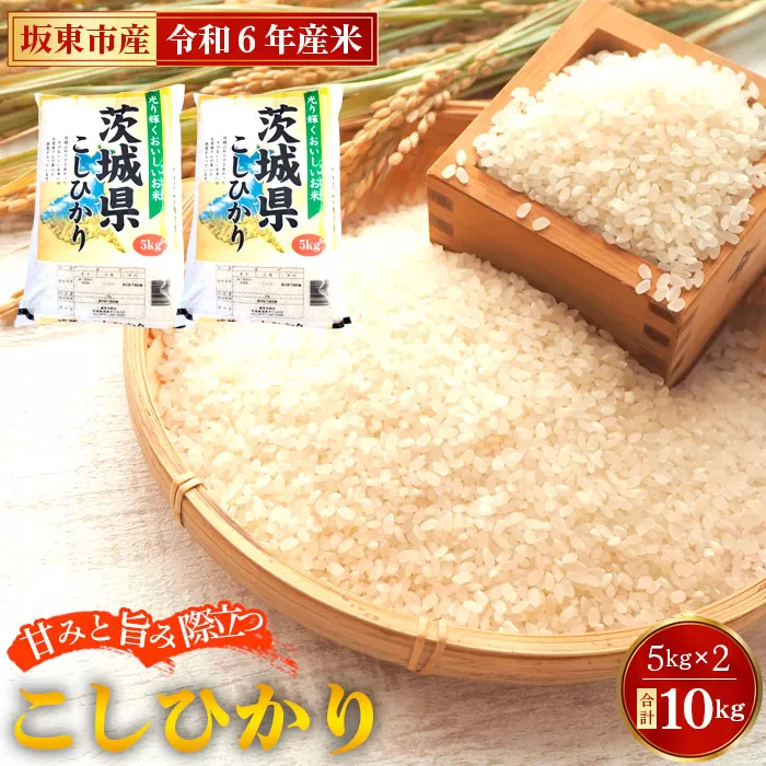 No.669 令和6年産　こしひかり10kg【坂東市産】