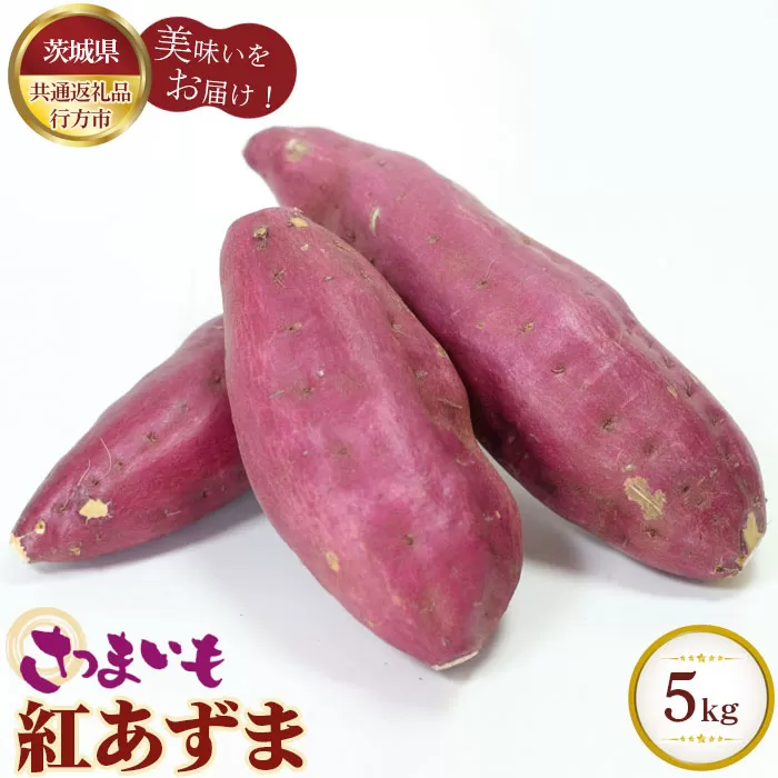 No.330 さつまいも　紅あずま　約5kg【茨城県共通返礼品 行方市】