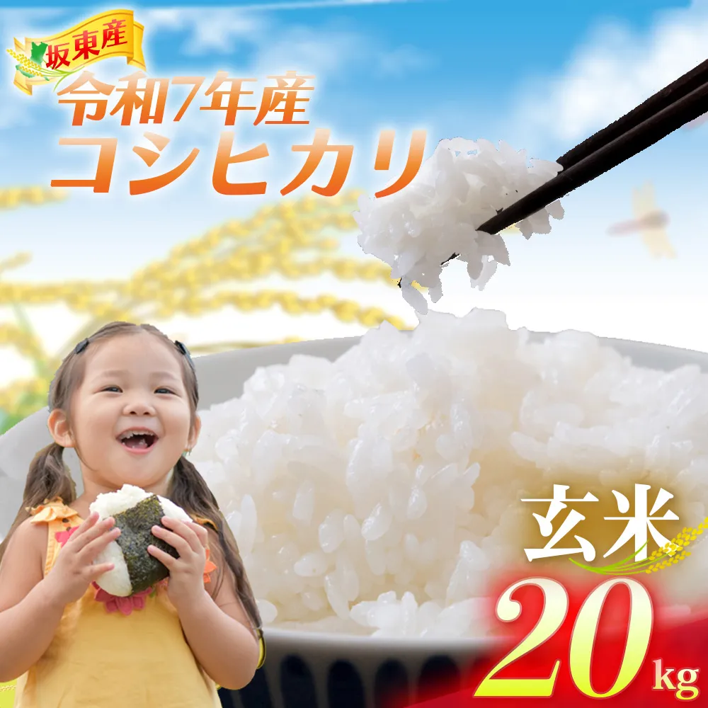 【令和7年産】茨城県坂東産　コシヒカリ20kg（玄米）※10月〜 ／ コシヒカリ こしひかり 米 お米 令和7年産 玄米 20kg 国産米 茨城米 粘り 旨み 炊き上がり ご飯 No.926