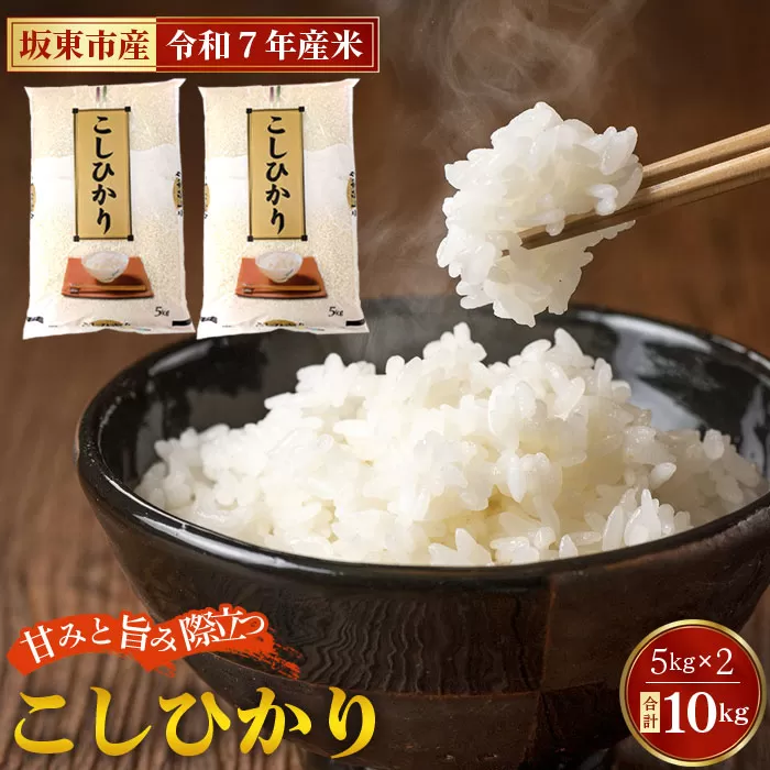 令和7年産　こしひかり10kg【坂東市産】 No.669