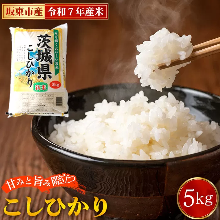 No.848 令和7年産　こしひかり5kg【坂東市産】