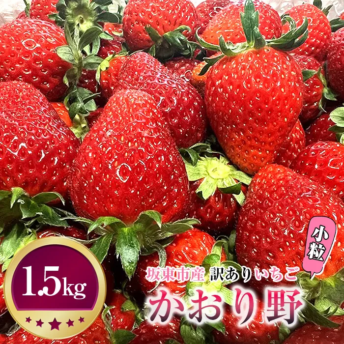 No.271 先行予約「坂東市産」訳ありいちご　かおり野　小粒や規格外品など詰め合わせ1.5kg　ジャムやイチゴミルクなどに