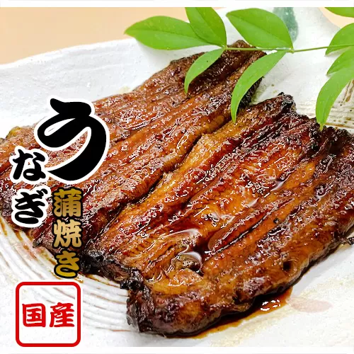国産鰻　蒲焼き（1人前） No.183