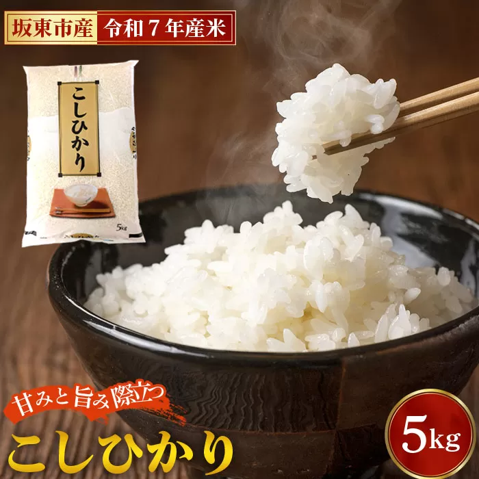 令和7年産　こしひかり5kg【坂東市産】 No.848