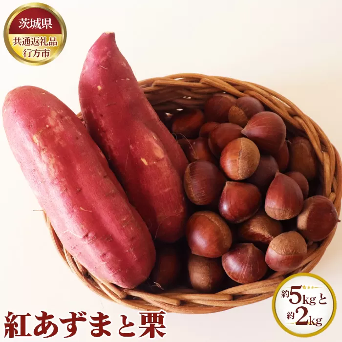 No.635 【先行予約】紅あずま 約5kgと栗 約2kg【茨城県共通返礼品 行方市】