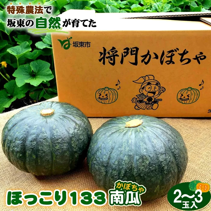 特殊農法で坂東の自然が育てた「ほっこり133南瓜」2~3玉入 No.842