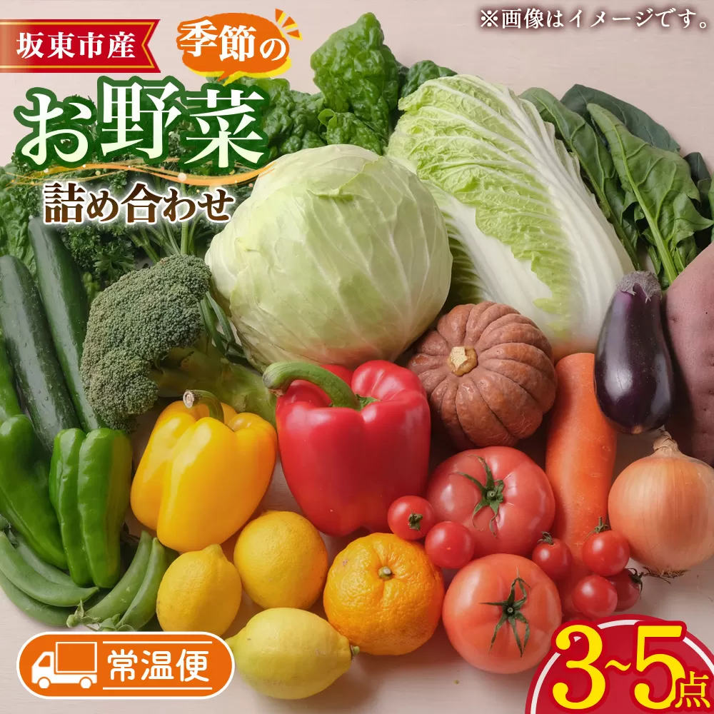 【坂東市産】季節のお野菜詰め合わせ No.876