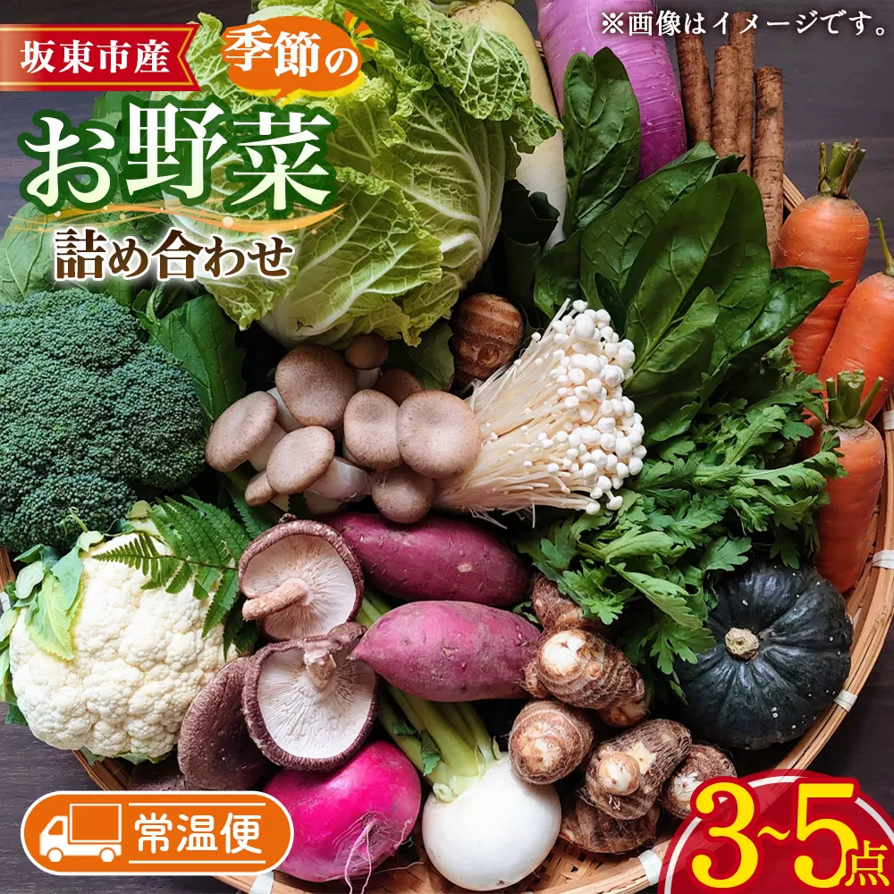 [坂東市産]季節のお野菜詰め合わせ No.876