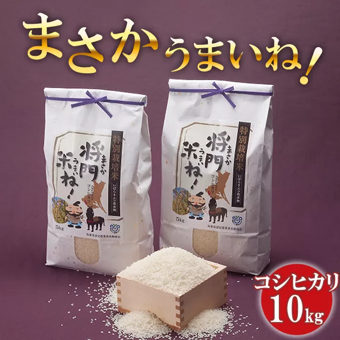 No.125 将門米ね！（まさかうまいね！） コシヒカリ10kg