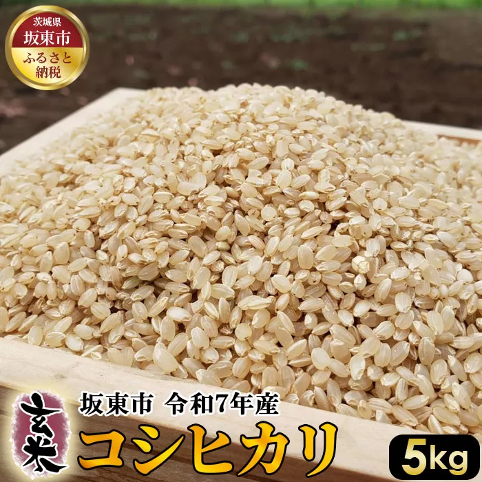 玄米　コシヒカリ5kg【令和7年産】 No.388