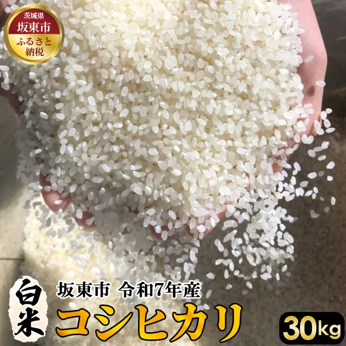 白米　コシヒカリ30kg【令和7年産】 No.415
