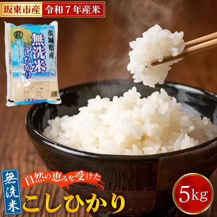 令和7年産　無洗米こしひかり5kg【坂東市産】 No.862