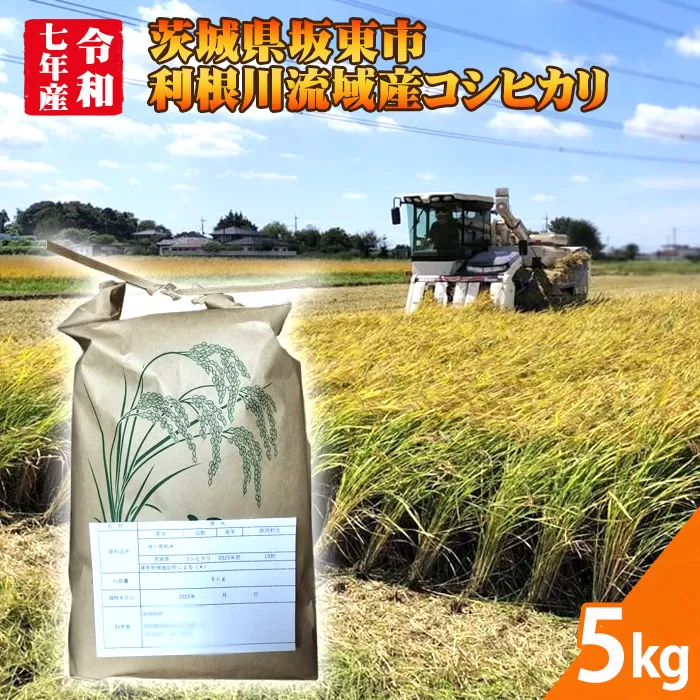 【令和7年米】茨城県坂東市利根川流域産コシヒカリ5kg No.866