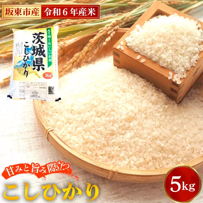 No.848 令和6年産　こしひかり5kg【坂東市産】