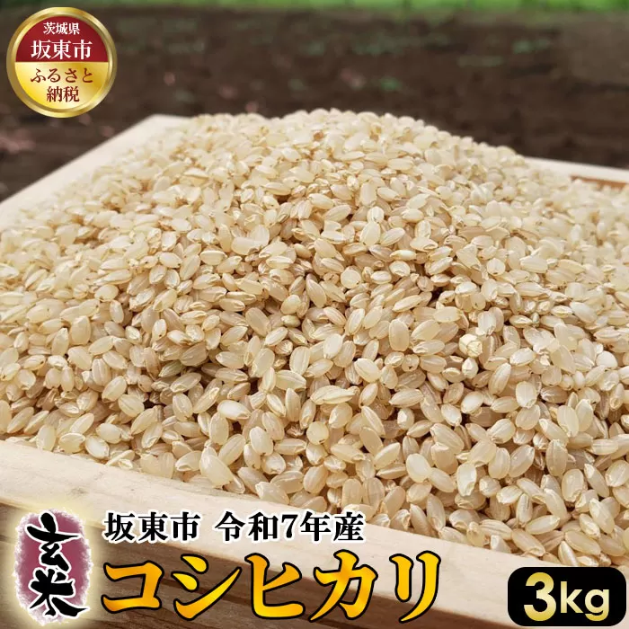 玄米 コシヒカリ3kg【令和7年産】 No.385