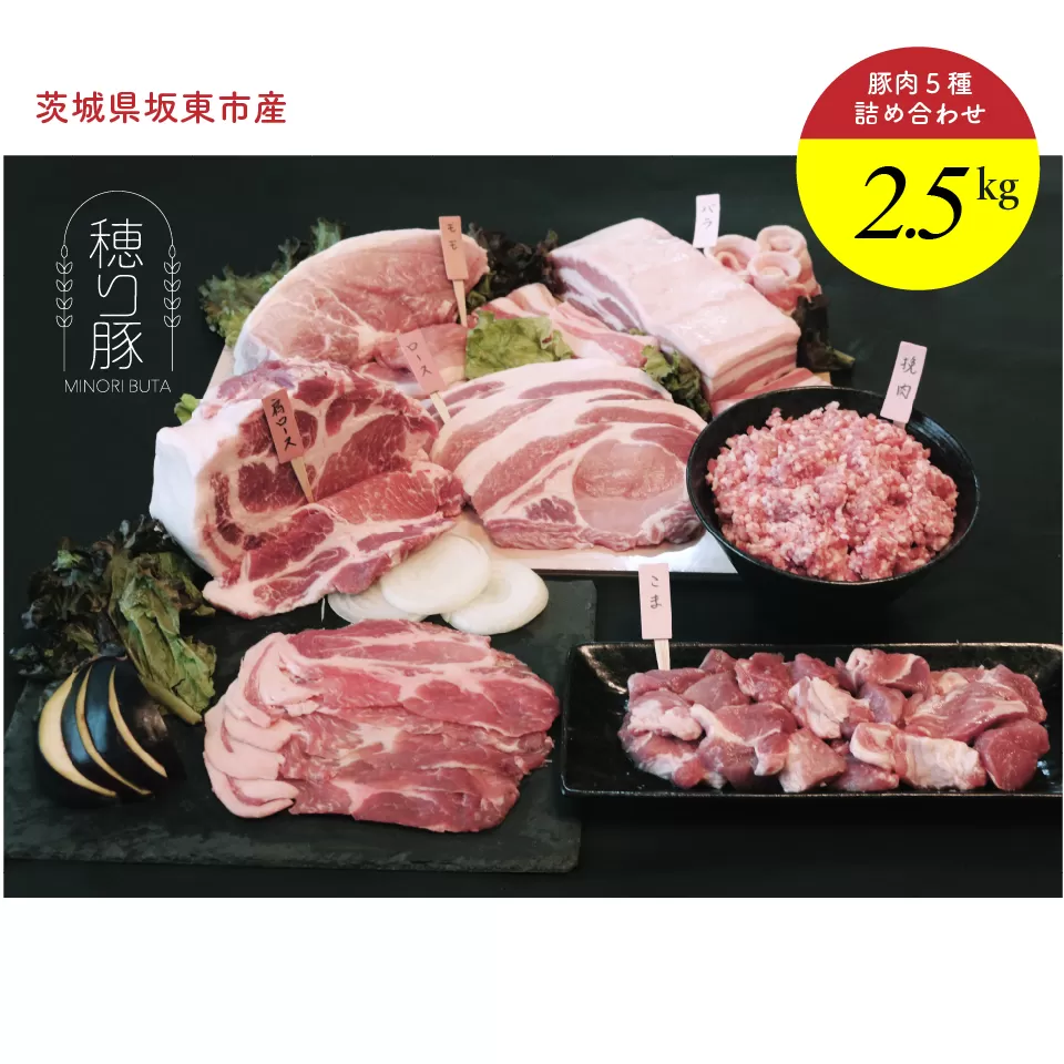 坂東市産の豚肉バラエティセット　約2.5kg No.840
