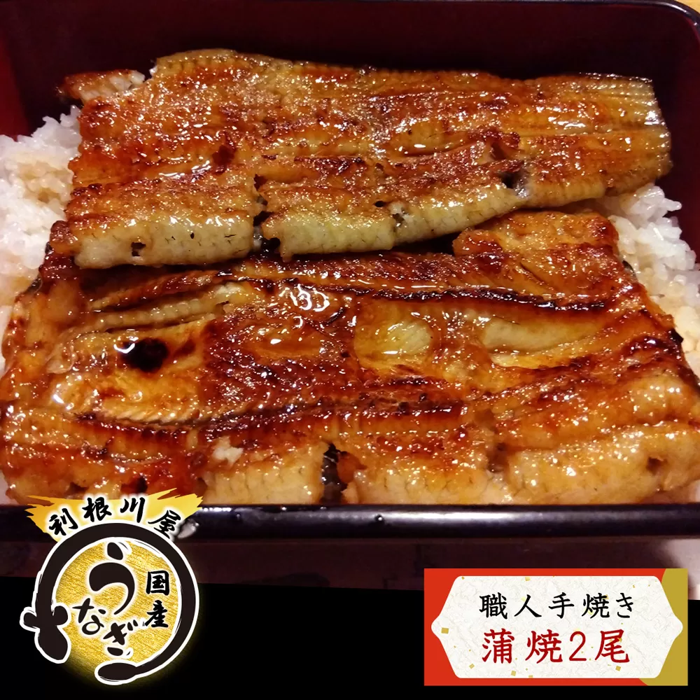 老舗利根川屋の職人手焼き 国産うなぎ 蒲焼 2尾セット [0585]