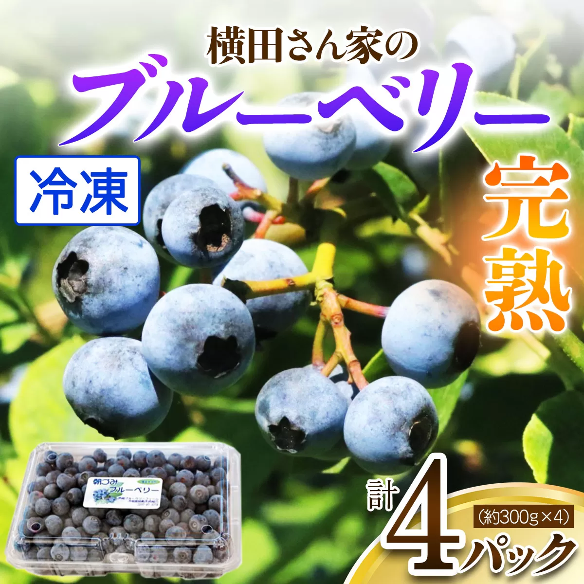 横田さん家の冷凍ブルーベリー 4パック (約300g×4) [1639]