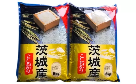 【令和6年産】お米の王様！茨城県産 コシヒカリ 白米 10kg (5kg×2袋)｜おこめ 精米 こしひかり 直送 稲敷 茨城 [1620]