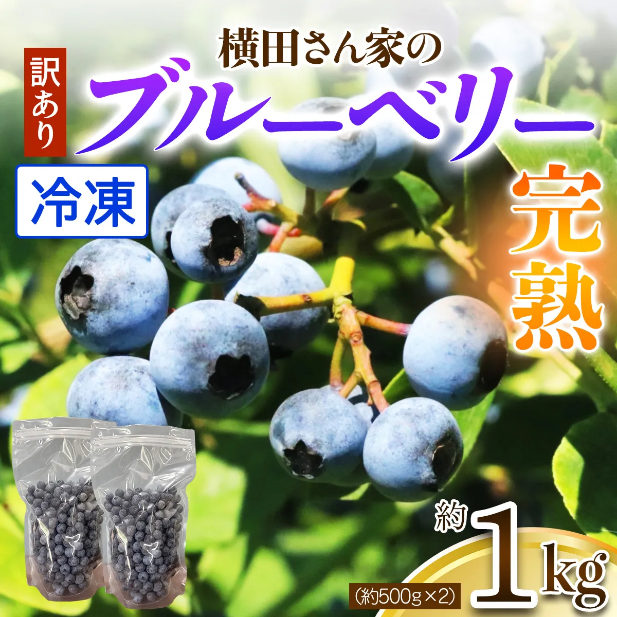【訳あり】横田さん家の冷凍完熟ブルーベリー約1kg (約500g×2)｜フルーツ 果物 くだもの スムージー ジャム ヨーグルト [2331]