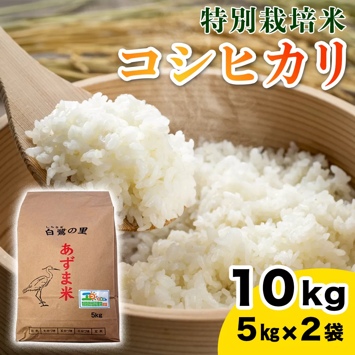 【令和7年産】特別栽培米 コシヒカリ 10kg (5kg×2袋)｜産地 直送 白鷺の里 あずま米 こしひかり 茨城県 稲敷市 [1907]
