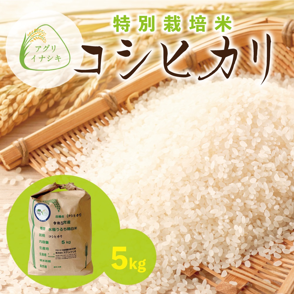 令和6年度 水稲うるち 新米 長野米 白米30k