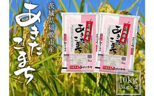 【令和7年産】稲敷市産 あきたこまち10kg (5kg×2袋)｜秋田小町 米 こめ コメ ごはん ご飯 [1762]