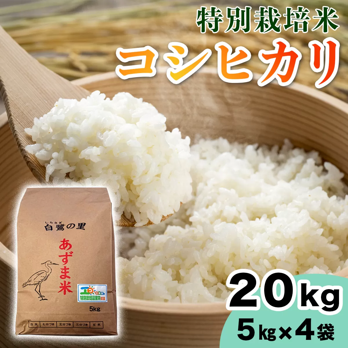 【令和7年産】特別栽培米 コシヒカリ 20kg (5kg×4袋)｜産地 直送 白鷺の里 あずま米 こしひかり 茨城県 稲敷市 [1909]
