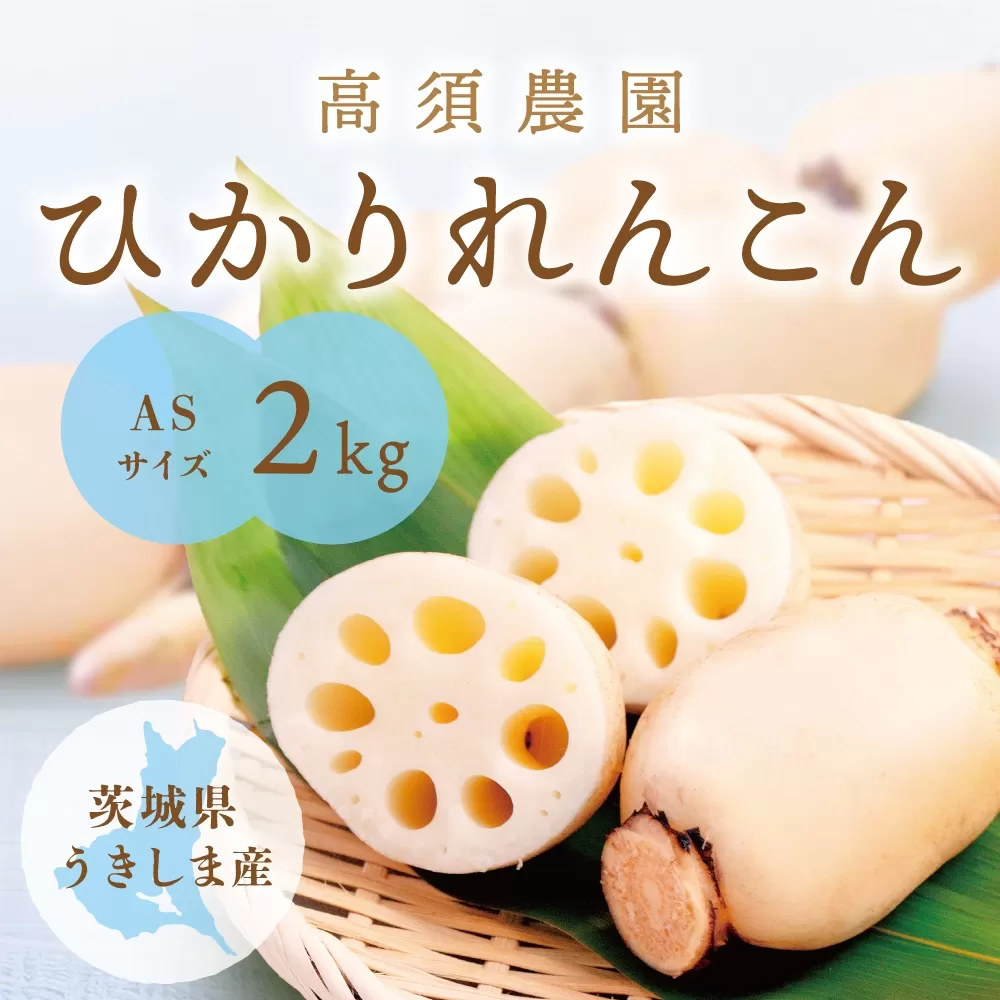 ひかりれんこん2kg (ASサイズ) 専用箱入｜れんこん レンコン 蓮根 根野菜 浮島れんこん [1743]