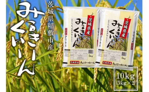 【令和7年産】稲敷市産 ミルキークイーン 10kg (5kg×2袋)｜米 こめ コメ ごはん ご飯 [1766]