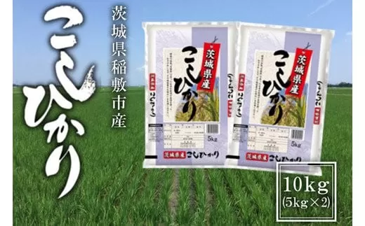 【3ヶ月定期便・令和5年産】稲敷市産 コシヒカリ10kg (5kg×2袋) [0979]