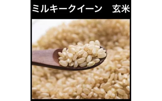 【令和5年産】玄米といえば！茨城県産 ブランド米 ミルキークイーン 玄米3kg [0681]