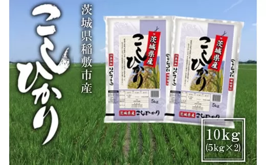 【令和5年産】稲敷市産 コシヒカリ 10kg (5kg×2袋) [0978]